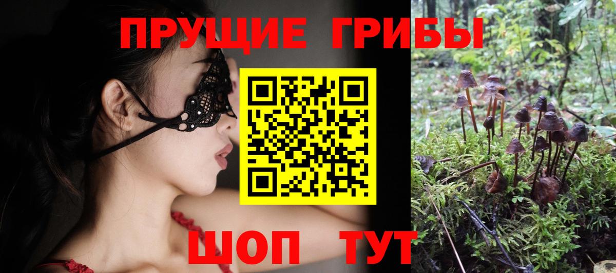 цены наркотик  Вход с VPN  Псилоцибиновые грибы GOLDEN TEACHER  Строитель  Псилоцибиновые грибы Cubensis 